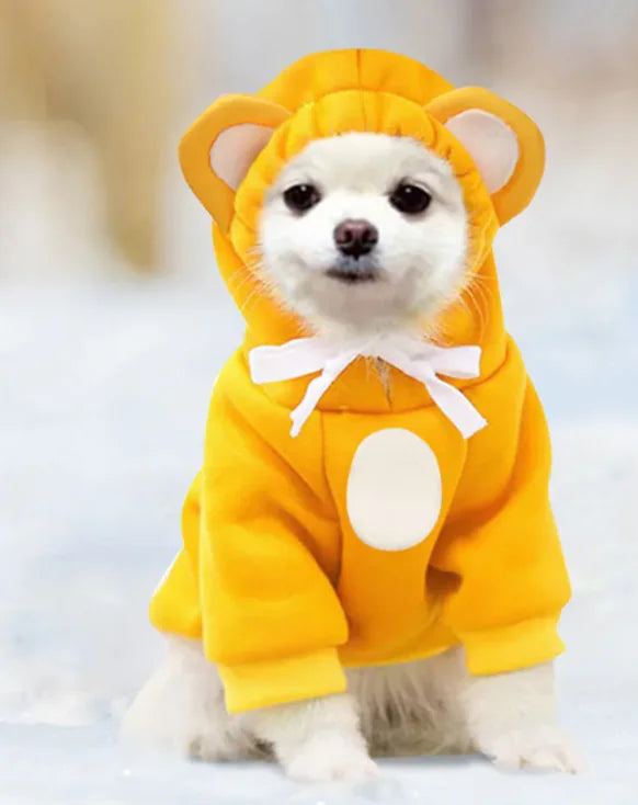 Pet Hoodies